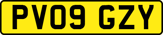 PV09GZY