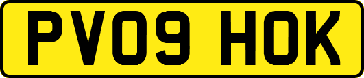 PV09HOK