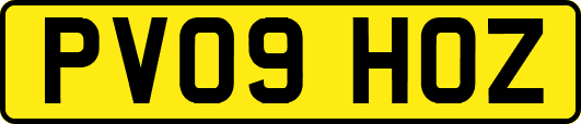 PV09HOZ
