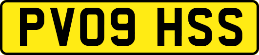 PV09HSS