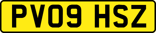 PV09HSZ