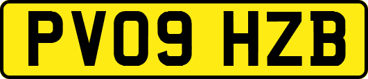 PV09HZB