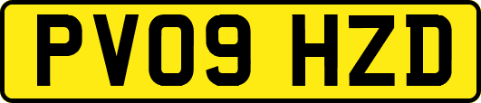 PV09HZD