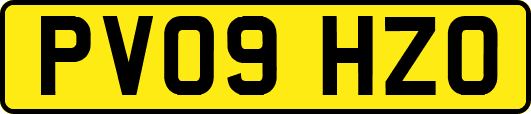 PV09HZO