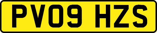 PV09HZS