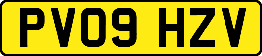 PV09HZV