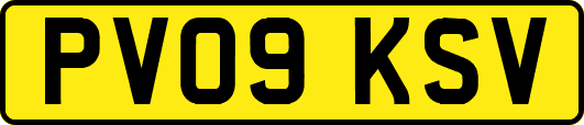 PV09KSV
