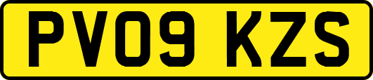 PV09KZS