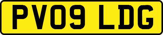 PV09LDG