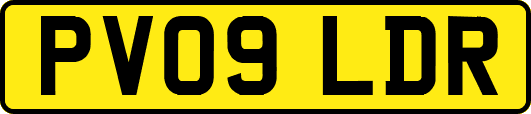 PV09LDR