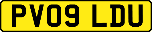 PV09LDU