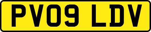 PV09LDV