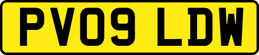 PV09LDW