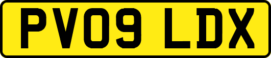 PV09LDX