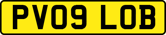PV09LOB