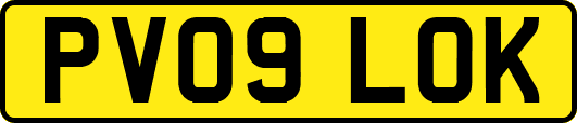 PV09LOK