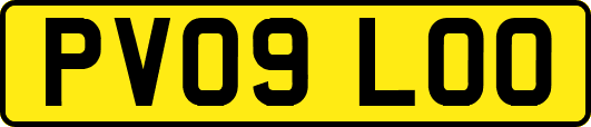 PV09LOO