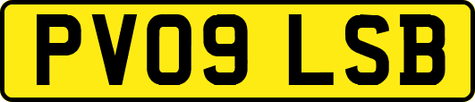 PV09LSB