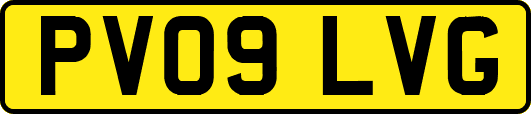 PV09LVG