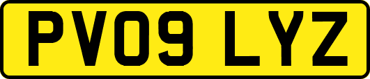 PV09LYZ