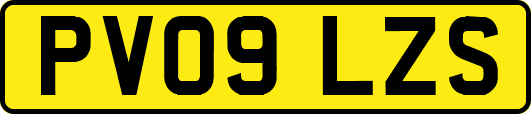 PV09LZS