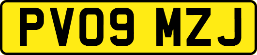 PV09MZJ