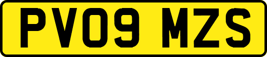 PV09MZS