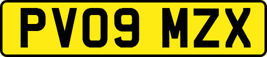 PV09MZX
