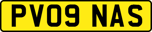 PV09NAS