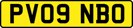 PV09NBO