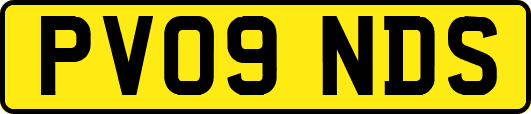 PV09NDS