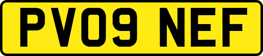 PV09NEF
