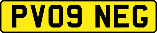 PV09NEG