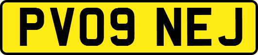 PV09NEJ