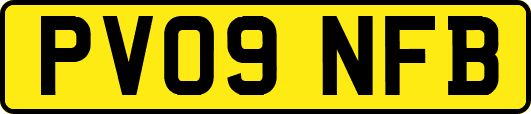PV09NFB