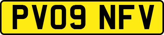 PV09NFV