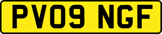 PV09NGF