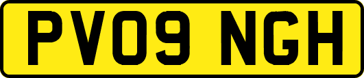 PV09NGH