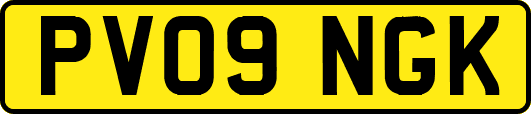 PV09NGK
