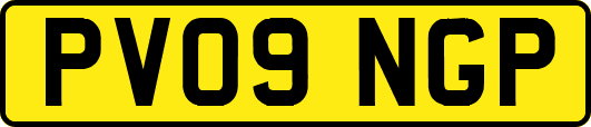 PV09NGP