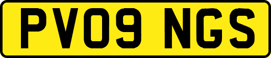 PV09NGS