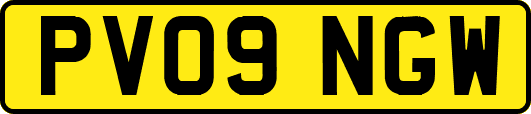 PV09NGW