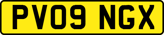 PV09NGX
