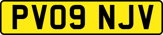 PV09NJV