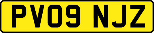 PV09NJZ