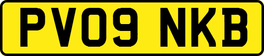 PV09NKB