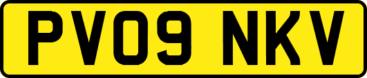PV09NKV