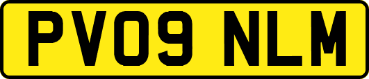 PV09NLM