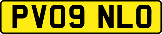 PV09NLO