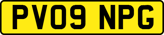 PV09NPG